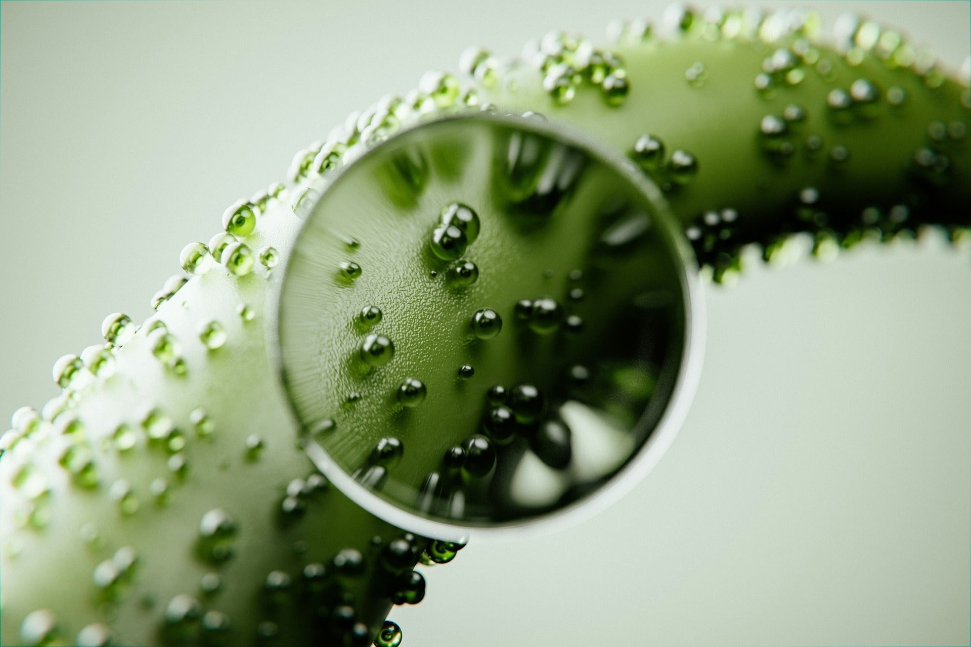 Natur-identische Wirkstoffe & Precision Fermentation: Biotechnologie in der modernen Hautpflege
