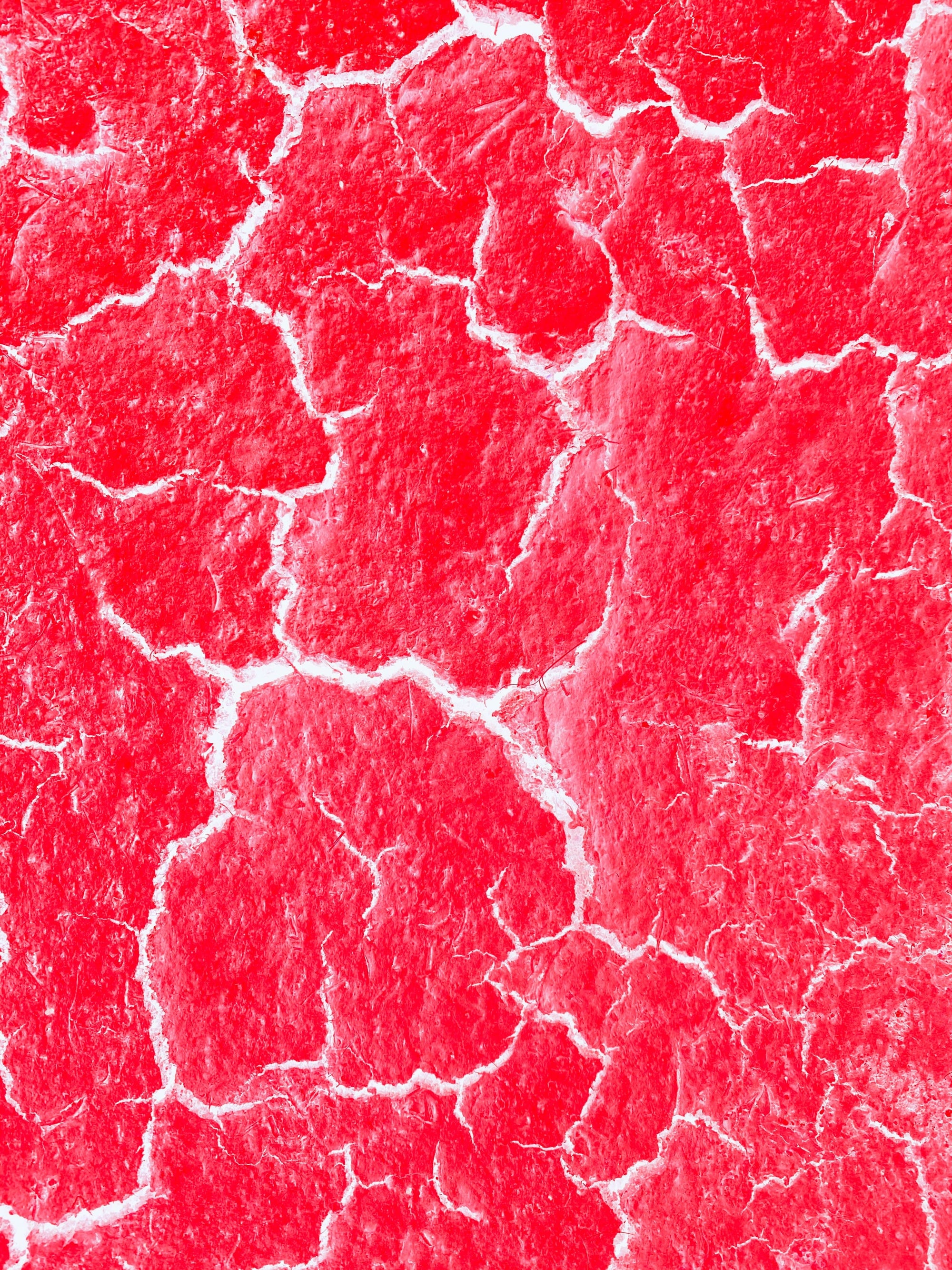 PDRN & Polynukleotide: Was die K-Beauty-Wissenschaft über DNA-Fragmente in der Hautpflege weiß