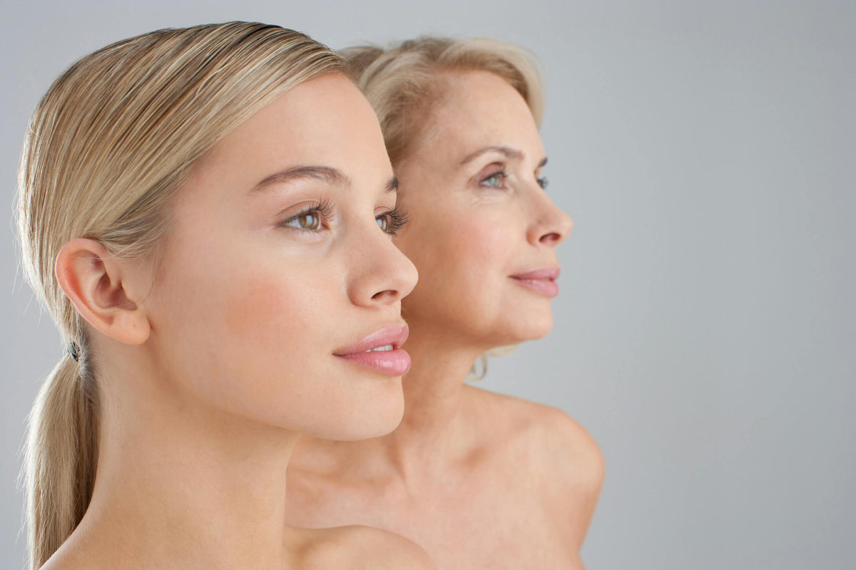 Wechseljahre-Haut: Estrogen-Kollaps und Lipid-Rekompensation unter Barriere-Dekompensation