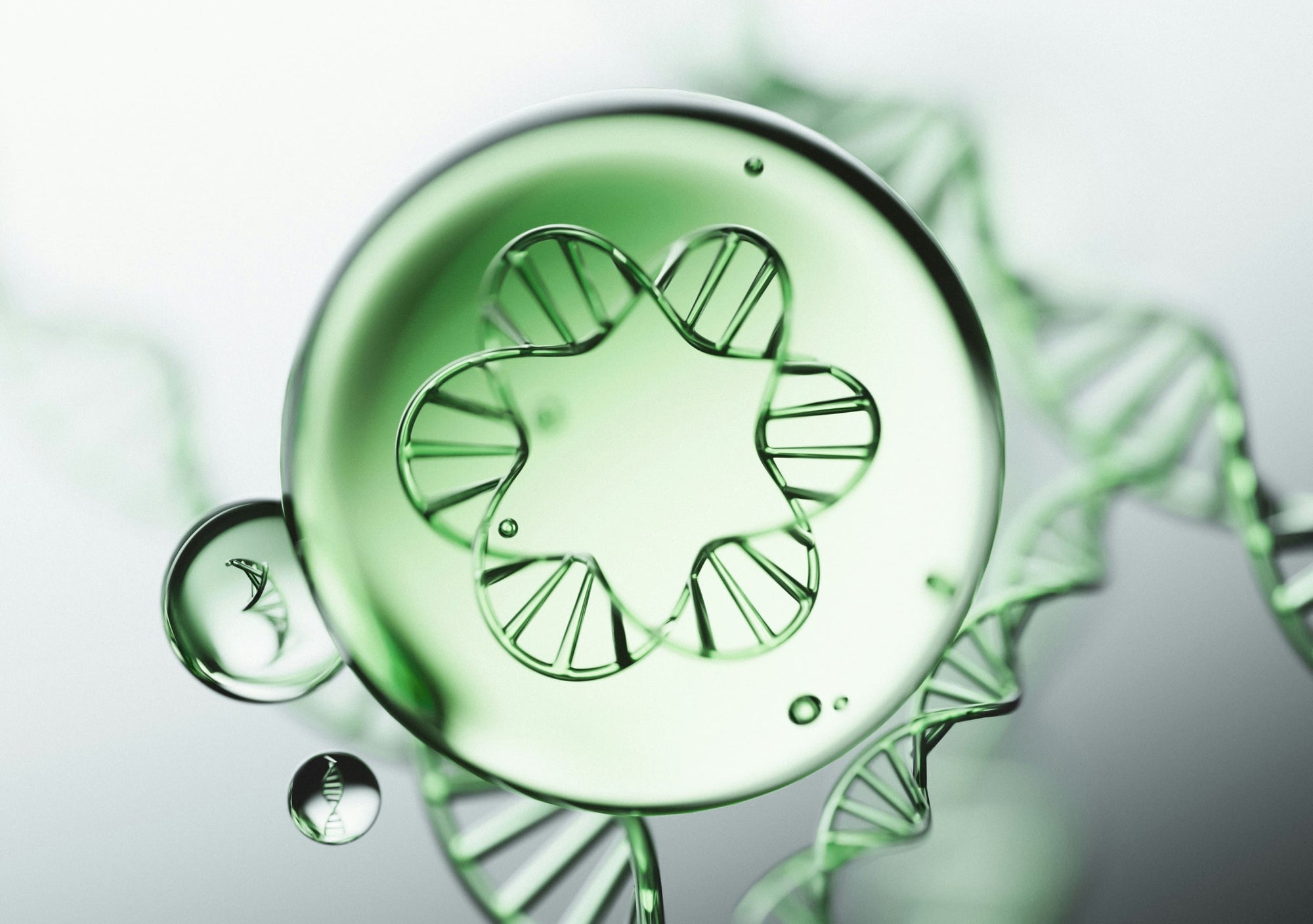Neurocosmetics & Psychodermatologie: Wie das Nervensystem die Haut formt