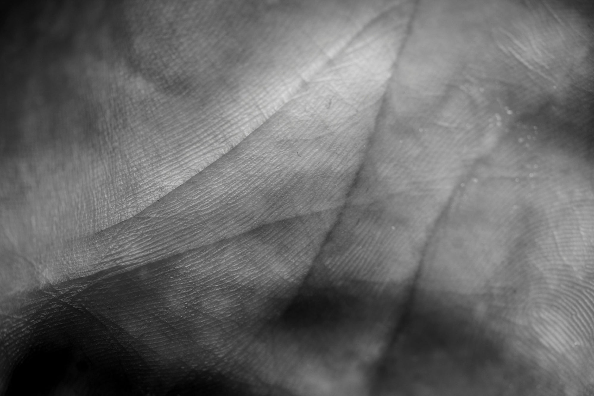 Hautlanglebigkeit & Longevity-Pflege (NAD⁺/NMN): Was die Wissenschaft sagt