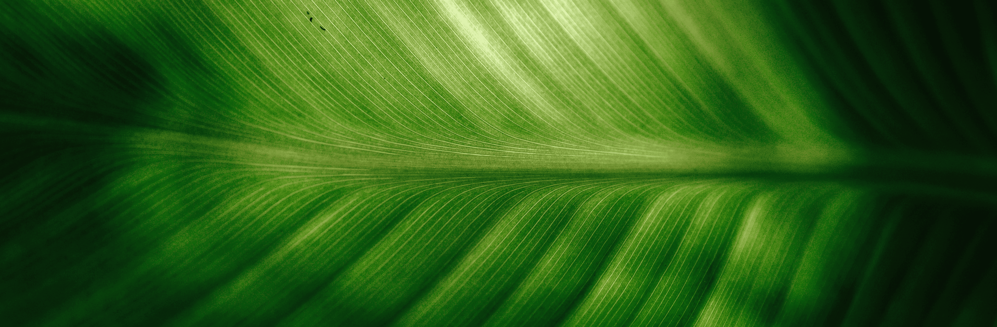 BESTSELLER - Naturfactor® Cosmetics