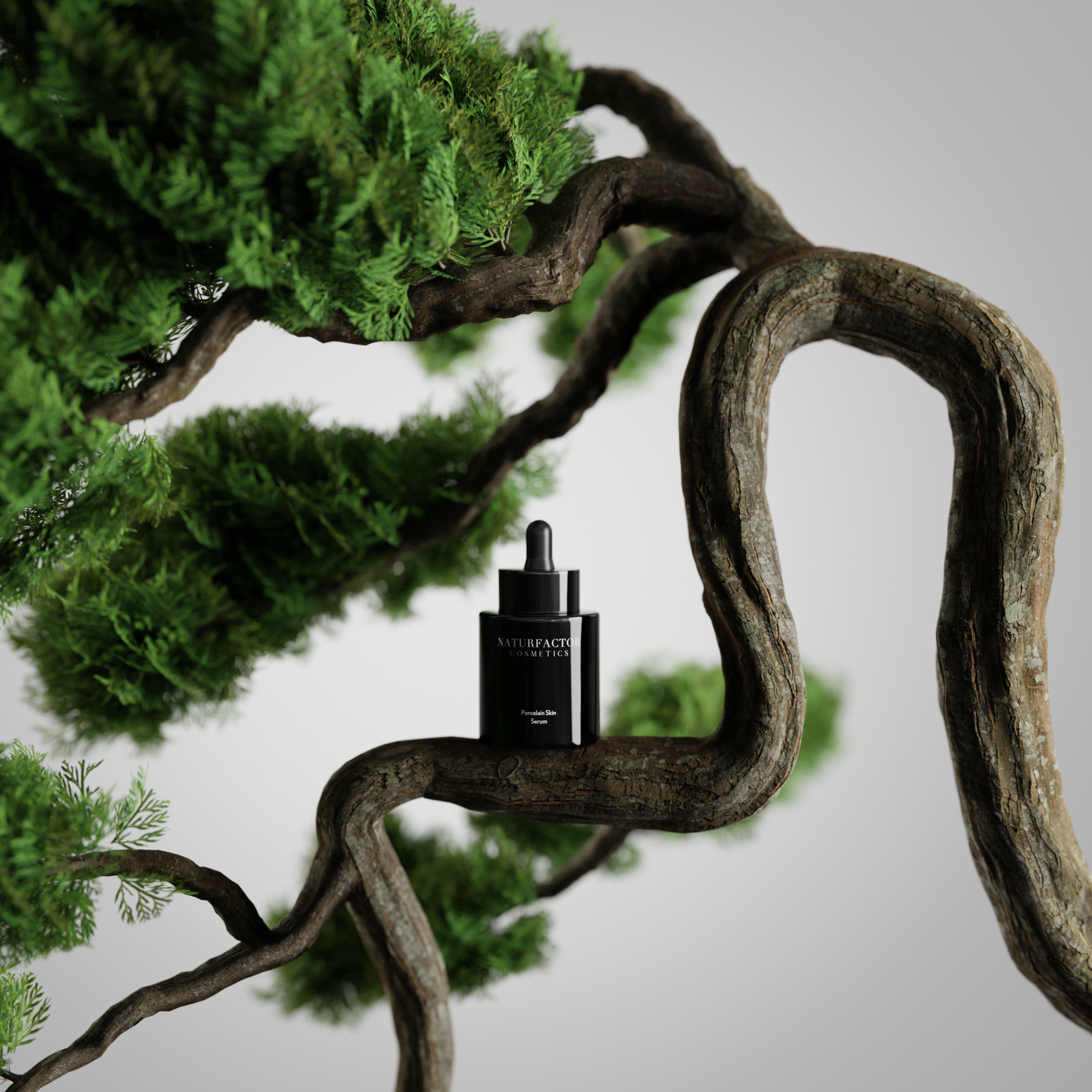 Porcelain Skin Serum on the branch of an exotic tree
