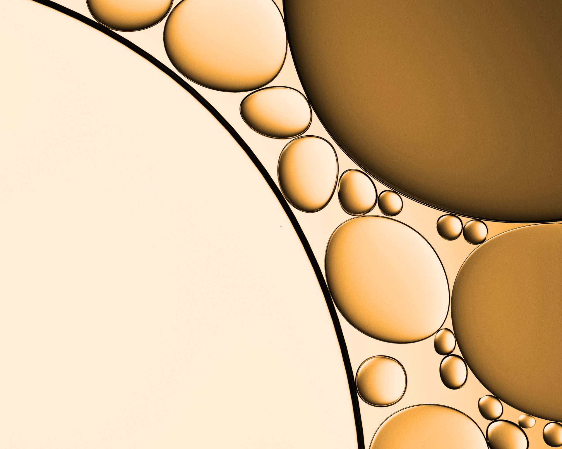 Golden Liquid under Microscope