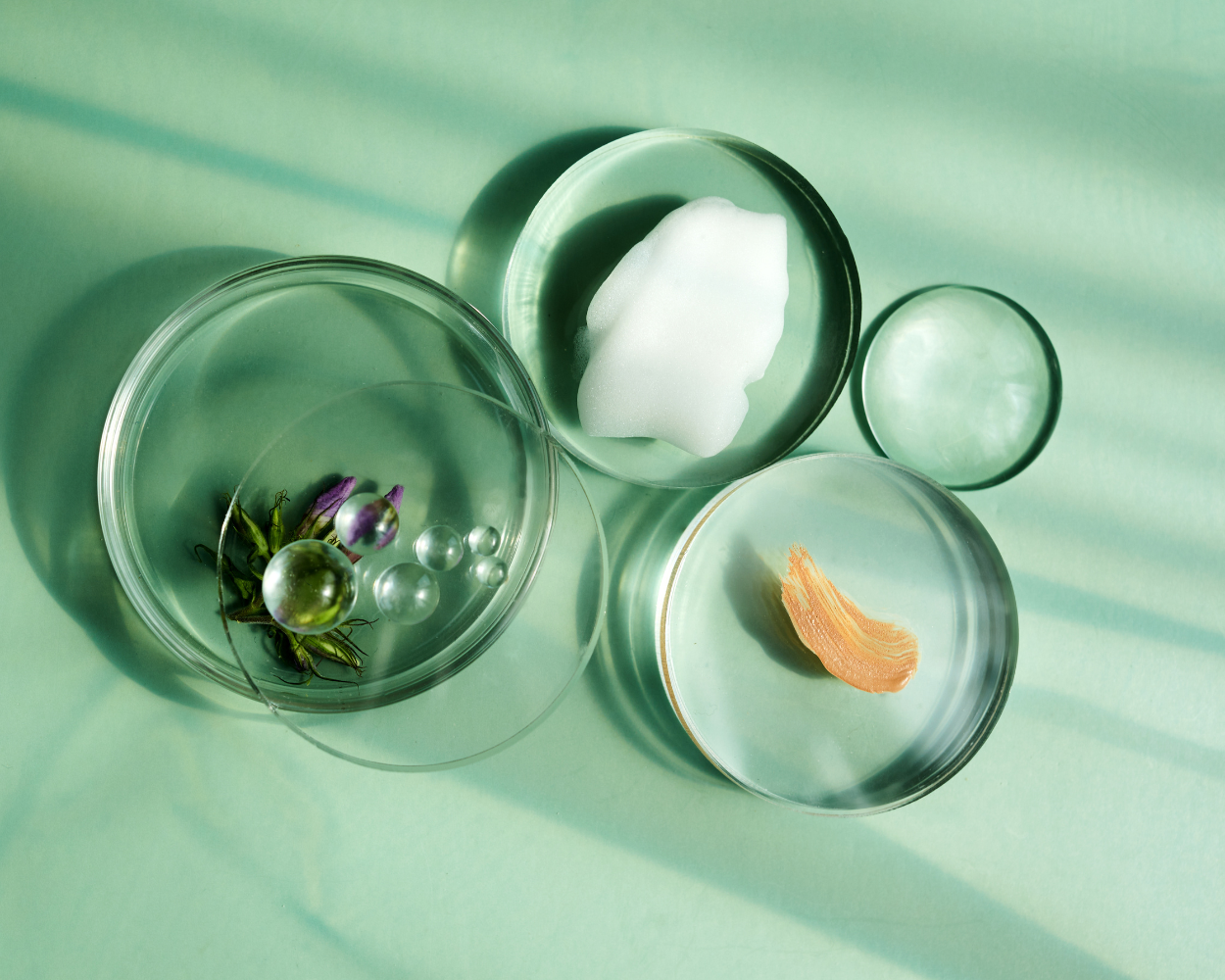 NATURFACTOR Wirkstoffforschung