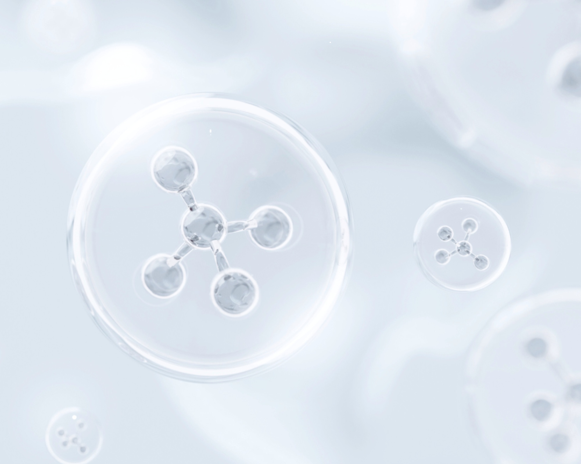 NATURFACTOR Standard 3